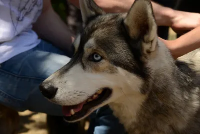 DSC_1670 (Large).JPG